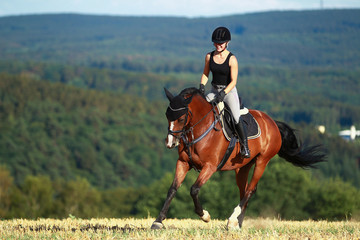 Young horse woman rides young horse on a harvested field in various gaits.