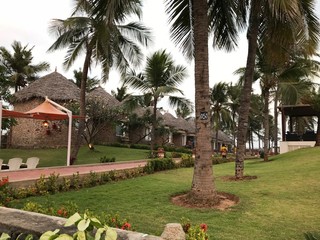 Fototapeta na wymiar Palm Trees and Houses in a Resort Area near the Sea