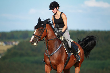 Obraz premium Young horse woman rides young horse on a harvested field in various gaits.