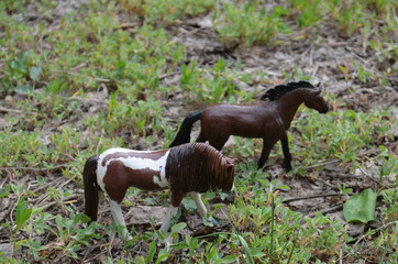 horses in the grass