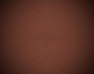 Fototapeta premium Leather texture