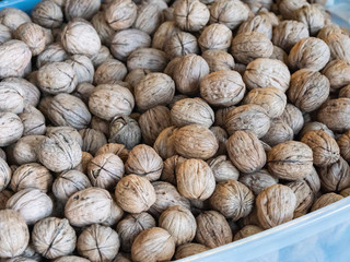 イタリア ジェノア クルミ