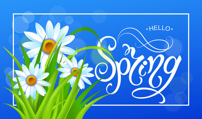 Fototapeta na wymiar Spring time. Yellow flowers. Chamomile.Handwritten calligraphy lettering with grass background. Vector image.