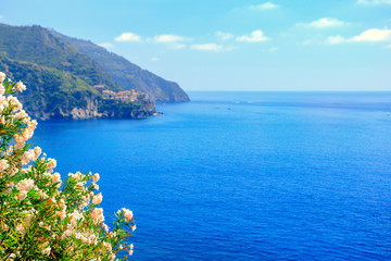Fototapeta premium Lake Como with mountain views