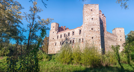 Fototapeta premium ruiny średniowiecznego zamku wybudowanego przez Kazimierza Wielkiego w Drzewicy