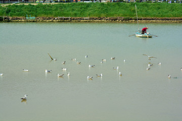 Veduta sul fiume in toscana