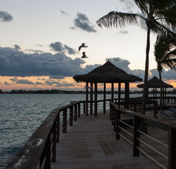 Sunrise at Nassau is the capital of the Bahamas.