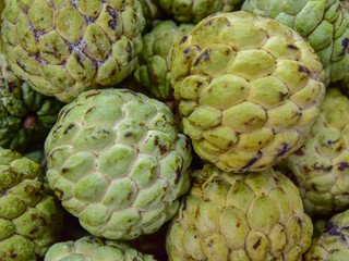 close up custard apple fruit to sell in fresh market. Annona reticulata