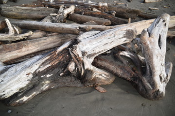 Olympic National Park, Washington state. U.S.A. October 17, 2017. Ruby Beach.