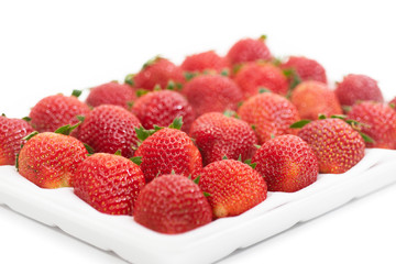 Premium Strawberry in polystyrene foam tray isolate on white background.