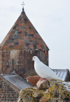 Pigeons on the background of Sevanavank monastery, Armenia