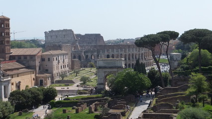 Fototapeta na wymiar colosseo dal palatino veduta di Roma