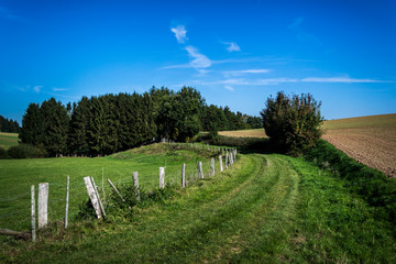 Fototapeta na wymiar path on the countryside