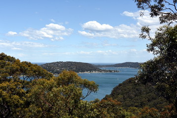 Fototapeta na wymiar View of Pittwater Bay from West Head (Ku-ring-gai Chase National Park, NSW, Australia)