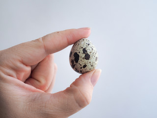 The human hand holds between two fingers a small quail egg in speckles