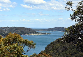 Obraz premium View of Pittwater Bay from West Head (Ku-ring-gai Chase National Park, NSW, Australia)