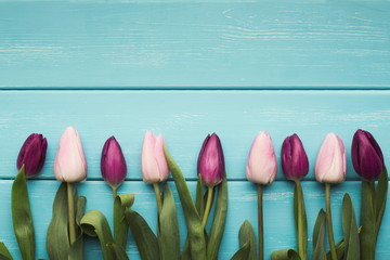 Colorful tulips on rustic wood background, copy space