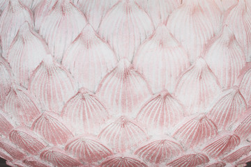 Patterns seamless layer of old pink stucco lotus petals texture for  brown background
