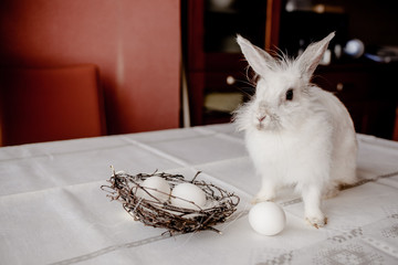 A white rabbit sitting in a rustic  basket with a napkin and easter eggs. Easter holiday card horizontal view with copyspace