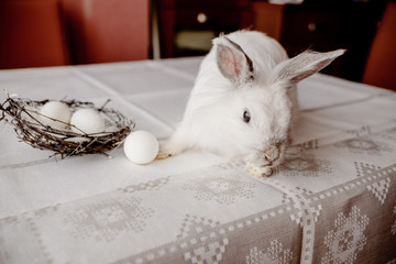 A white rabbit sitting in a rustic  basket with a napkin and easter eggs. Easter holiday card horizontal view with copyspace