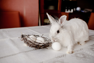 A white rabbit sitting in a rustic  basket with a napkin and easter eggs. Easter holiday card horizontal view with copyspace