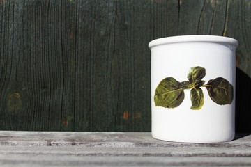Teedose mit aufgemalten Teeblättern vor dunkelgrüner Holzwand