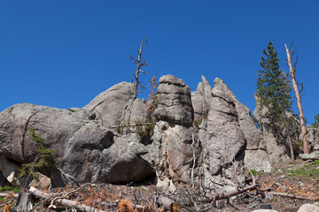 Fototapeta premium Rock Formations in Custer State Park