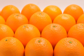 Group of oranges in a row isolated on white background, Space for text or design.