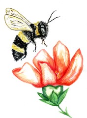 Cute bee art