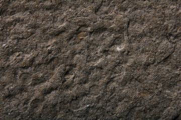 pressed paper texture