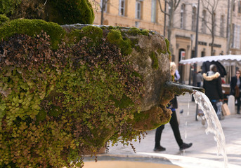 Fontaine moussue Aix en Provence