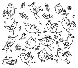 Vector set of birds cartoons, black silhouettes for coloring.