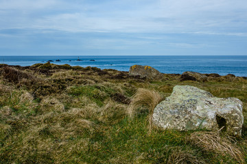 meadows and seascape in spring; greenish, gray stones close up, green grass also has brown old...