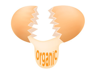 organic egg vector