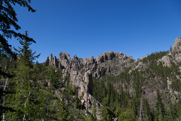 Fototapeta na wymiar Rock Formations in Custer State Park