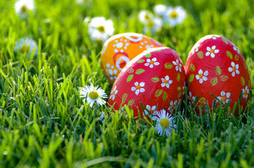 Easter eggs lying on green spring grass along with Bellis flowers. Space for text