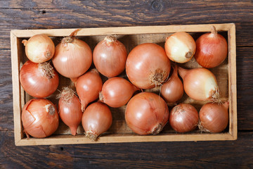 fresh rawl onions in wooden box