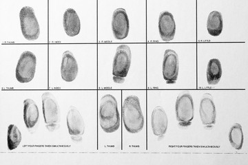 Police form with fingerprints, top view. Forensic examination