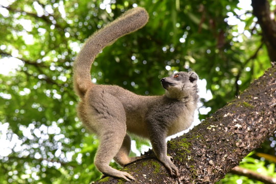 Que se passe-t-il derrière moi??  1642