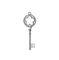 Silver vintage ornate key on white background