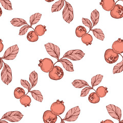 Vector Blueberry black and coral engraved ink art. Berries and leaves. Seamless background pattern.
