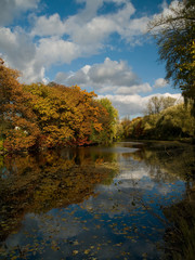 Colorful trees and river with bridge, Czech Republic. Beautiful sunny day in autumn.