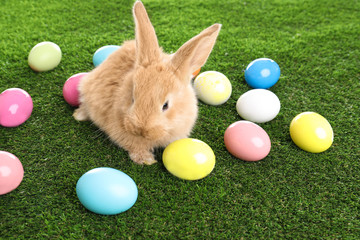 Adorable furry Easter bunny and colorful eggs on green grass