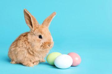 Fototapeta na wymiar Adorable furry Easter bunny and dyed eggs on color background, space for text