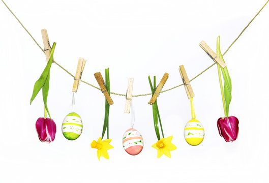 Ostern, Osterfest, Ostereier, aufgeh&auml;ngt, Tulpen, isoliert, auf weiss, Freisteller, Textraum, copy space