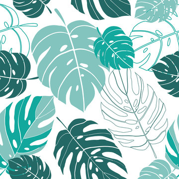 Seamless vector pattern tropical monstera leaves on white