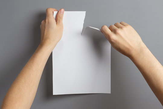 Hands Tearing A Sheet Of White Paper In Half On Gray Background