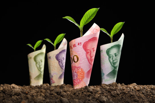 Image of bank notes rolled around plants on soil for business, saving, growth, economic concept isolated on black background