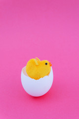 Easter background. The little yellow chicken hatched and and sits in an egg-shell on a pink...