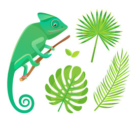 Fototapeta premium Chameleon sitting and looking on branch. Wildlife and amphibia with tail, reptile and green leaves of fern isolated on white, flora and fauna vector